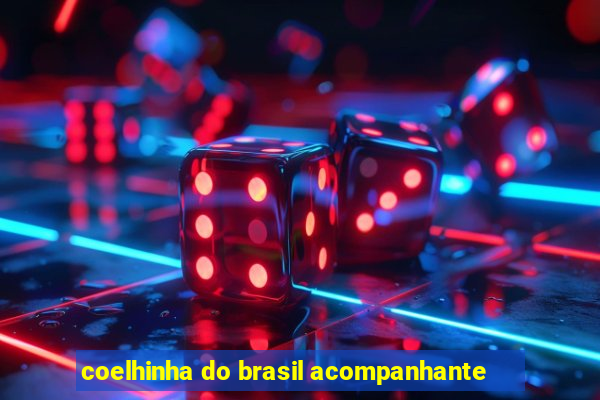 coelhinha do brasil acompanhante